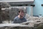 DSC_9146.JPG